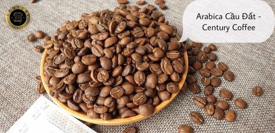 Cà phê Arabica Hạt Rang 500g