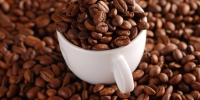 ĐỊA CHỈ CUNG CẤP CÀ PHÊ GIÁ SỈ Ở ĐÂU CÓ GIÁ THÀNH HỢP LÝ NHẤT? | CENTURY COFFEE