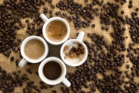 BỎ SỈ CÀ PHÊ SẠCH NGUYÊN CHẤT VÀ GIÁ RẺ NHẤT THỊ TRƯỜNG? | CENTURY COFFEE