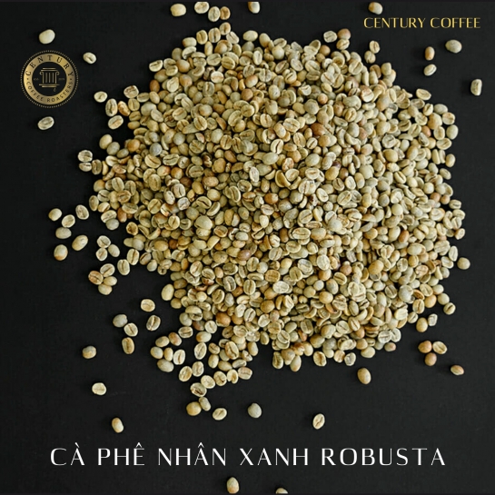Cà phê nhân Robusta Đánh Bóng Ướt ĐakLak (S18)