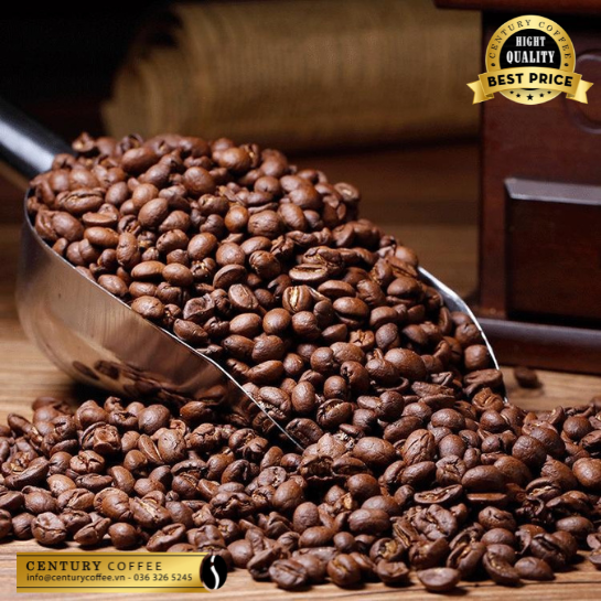 Cà phê Robusta Natural 99% ĐakMil (S18) 500g